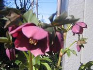 b0024439_9301429.jpg