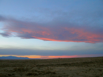 e0104941_4174621.jpg