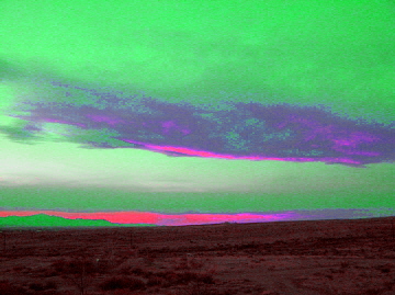 e0104941_4202878.jpg