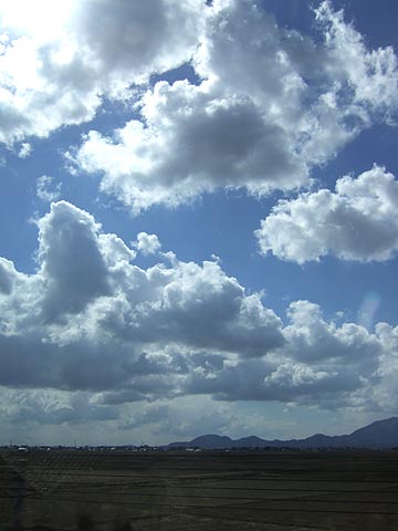 e0006242_1482182.jpg