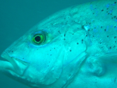 e0027447_23473535.jpg