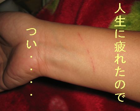 e0085147_9352767.jpg