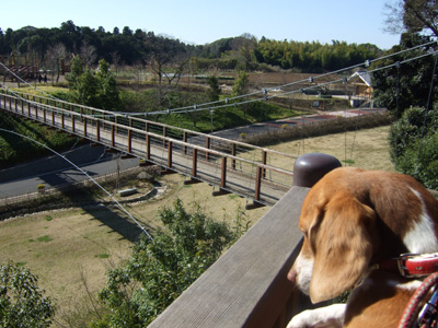 b0045357_9152449.jpg