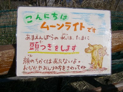 f0104057_23192642.jpg