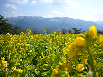 c0027965_2041515.jpg
