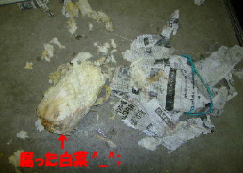 f0057565_15423116.jpg