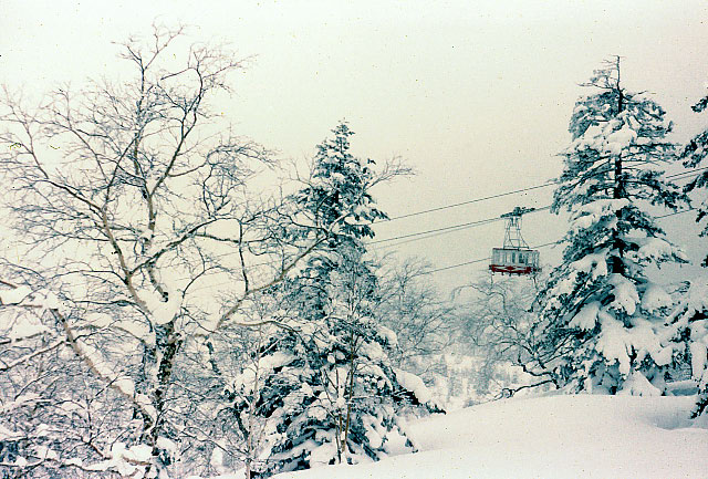 e0100772_23436.jpg