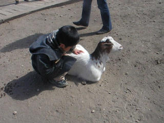 b0109874_20105467.jpg