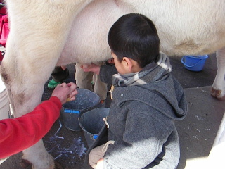 b0109874_20111023.jpg