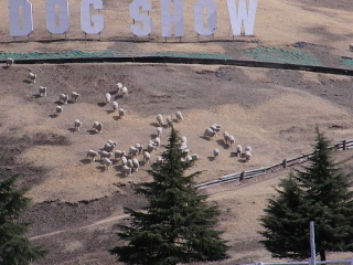 b0109874_2046232.jpg