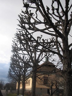 e0022676_2315435.jpg