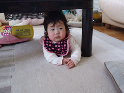c0105177_1558417.jpg