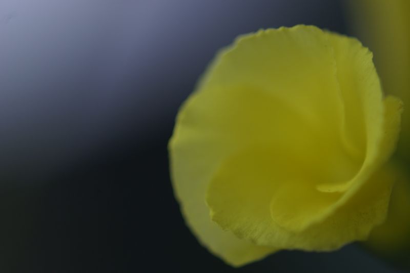 d0079278_2393123.jpg