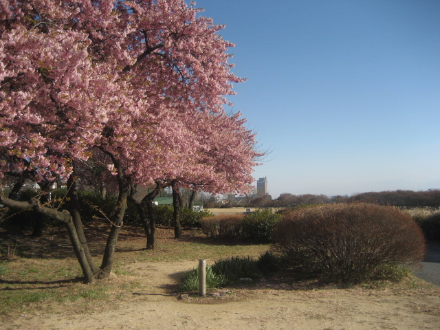 b0032079_2134360.jpg