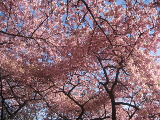 b0032079_23275941.jpg
