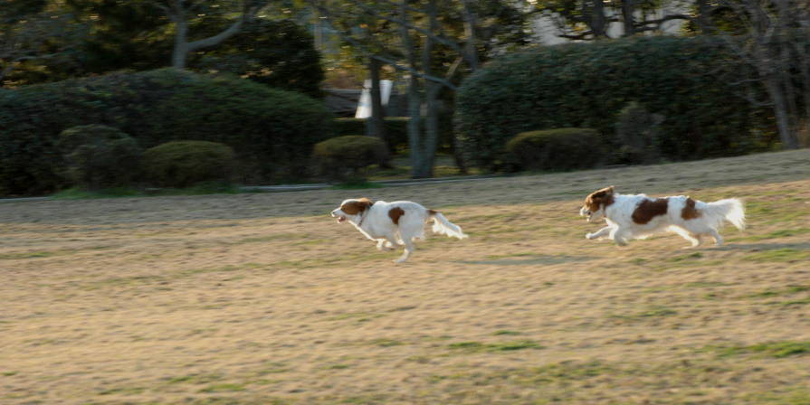 c0075585_0291722.jpg