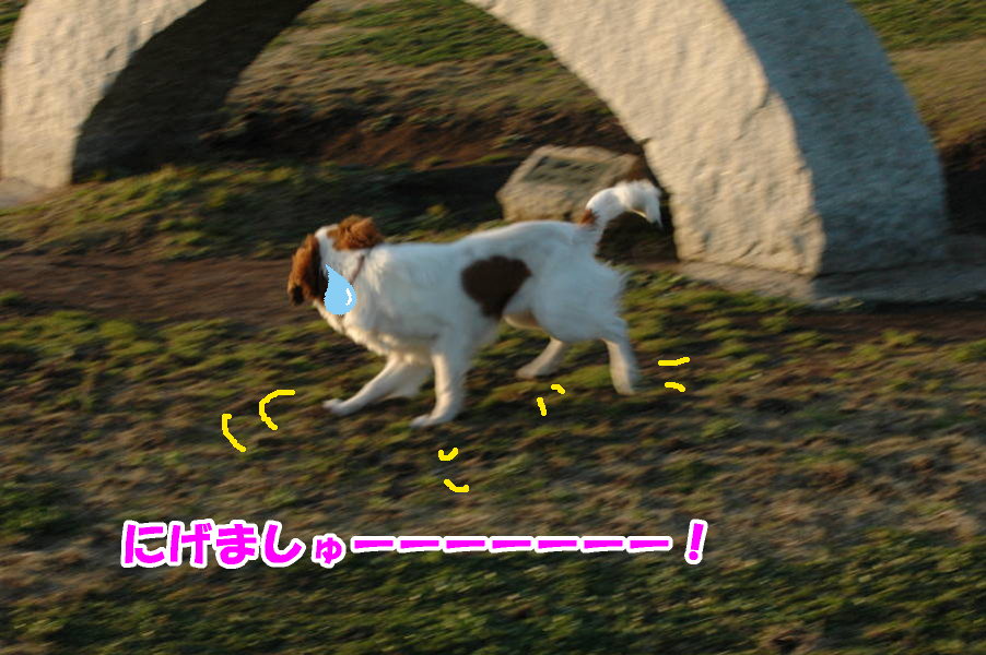 c0075585_0311755.jpg