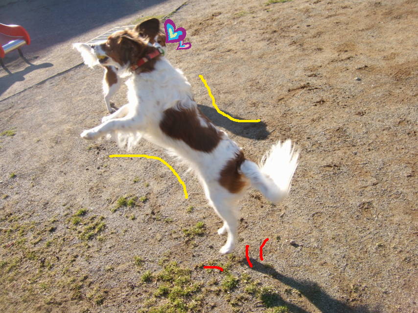 c0075585_0472335.jpg