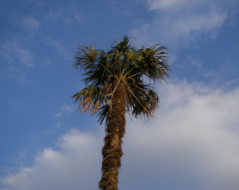 d0045295_1840467.jpg