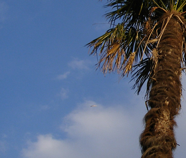 d0045295_1843107.jpg