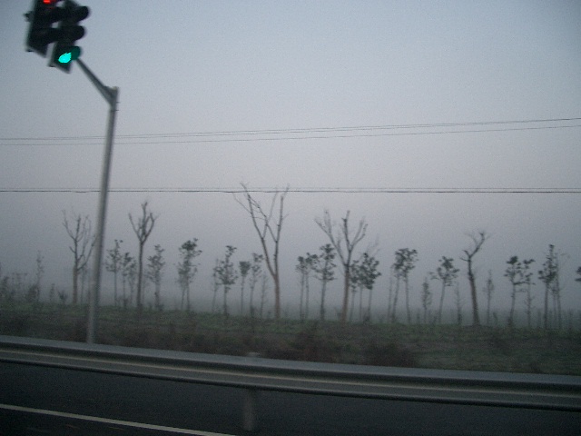 d0090300_2112442.jpg
