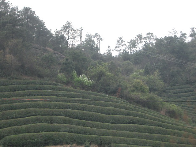d0090300_21234596.jpg