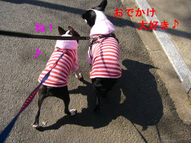 d0070702_1126564.jpg