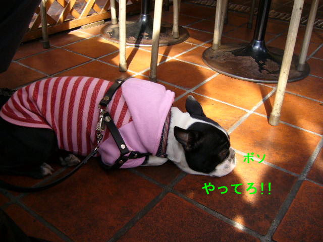 d0070702_114506.jpg