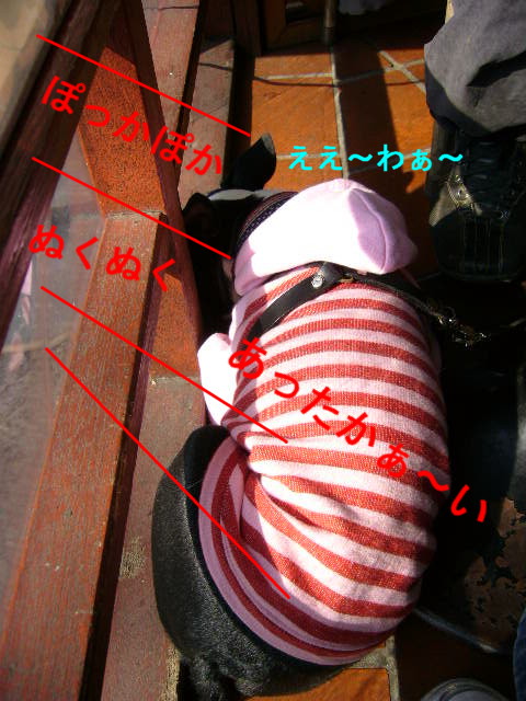 d0070702_11515480.jpg