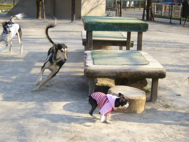 d0070702_1204696.jpg