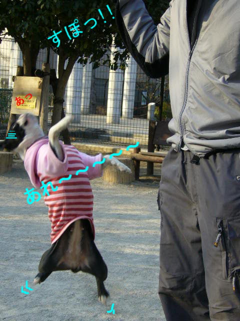 d0070702_1210712.jpg
