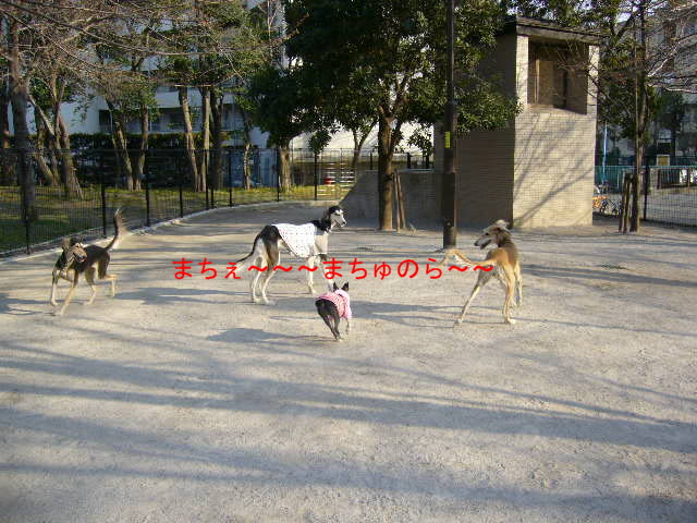 d0070702_1231891.jpg