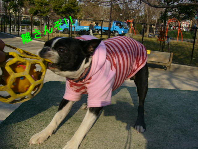 d0070702_1262493.jpg