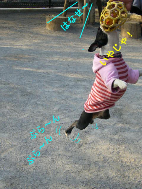 d0070702_1285684.jpg