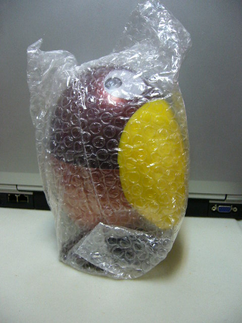 e0015108_3511646.jpg