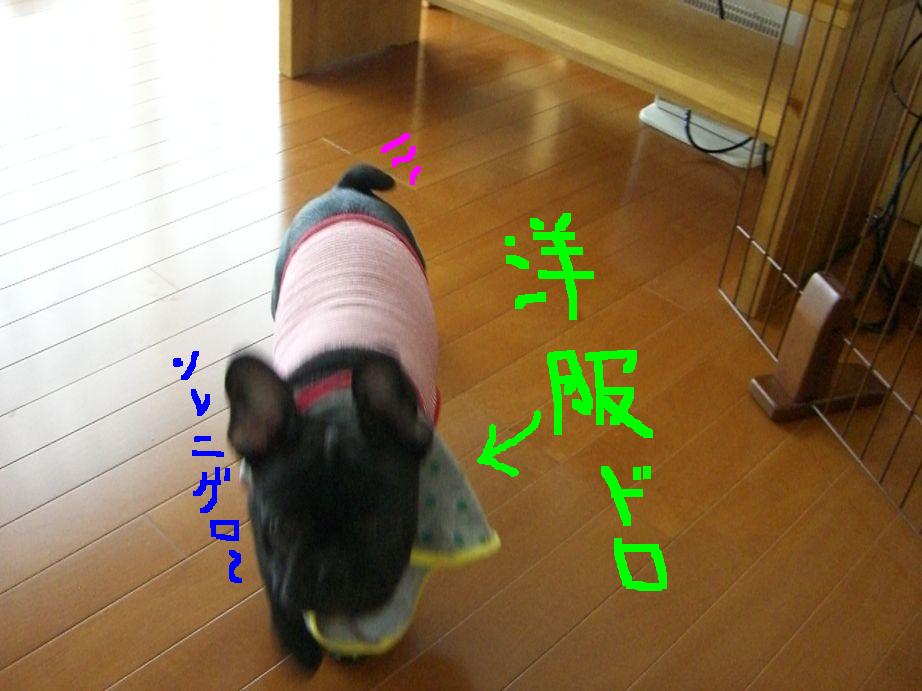 c0113109_23471860.jpg