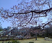 b0087212_22514964.jpg