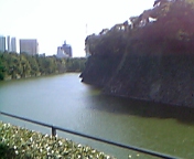 b0087212_22542996.jpg