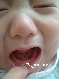 a0042313_1093175.jpg