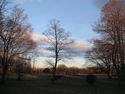e0013419_2210810.jpg