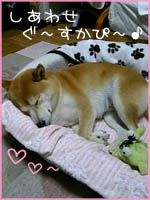 c0060620_2341073.jpg