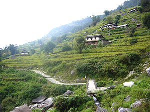 f0051624_015018.jpg