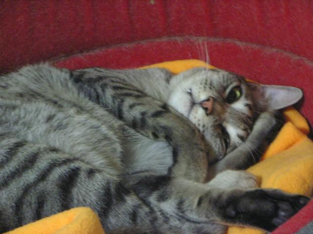 d0081025_2020893.jpg