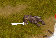 e0004726_8573852.jpg