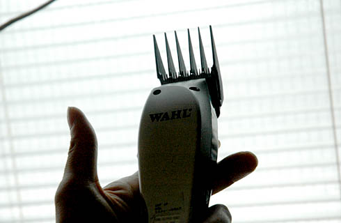 c0066827_11151316.jpg