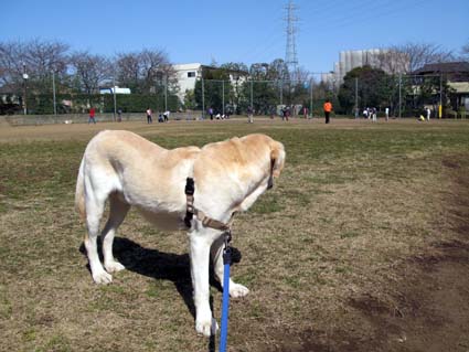 d0109728_0505394.jpg