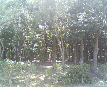 f0076529_001526.jpg