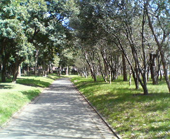 f0076529_003722.jpg