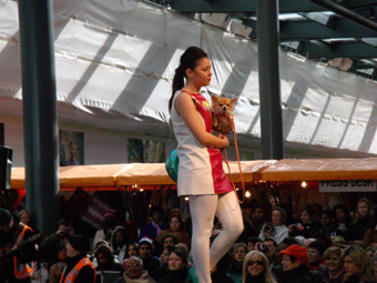 c0052933_19314757.jpg