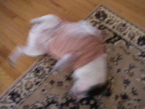e0008833_12462110.jpg